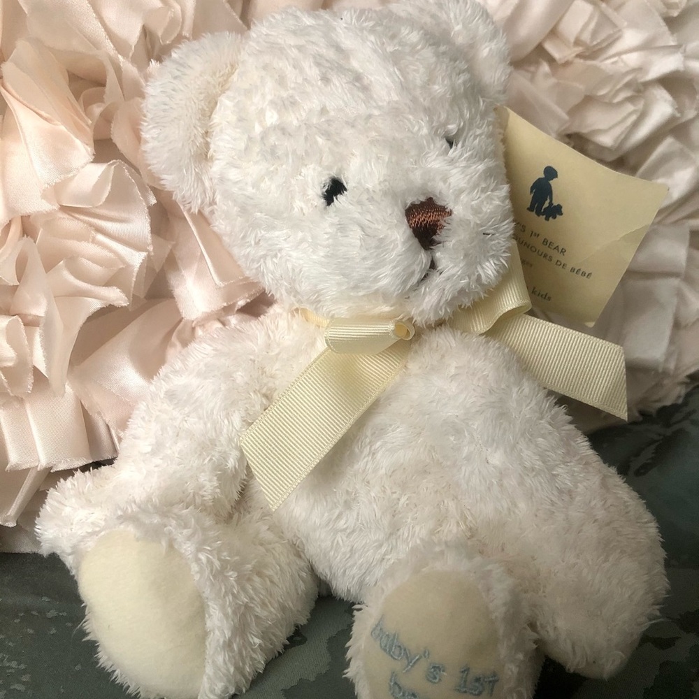 Vintage Pottery Barn Teddy Bear